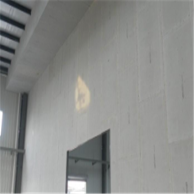 周宁宁波ALC板|EPS加气板隔墙与混凝土整浇联接的实验研讨